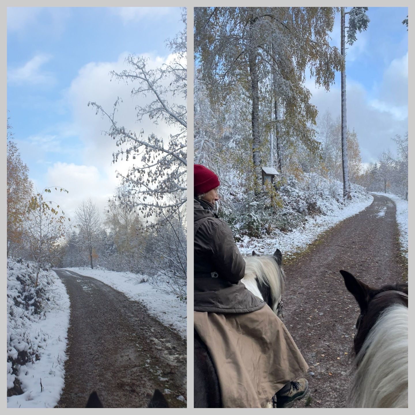 2023 11 November 620